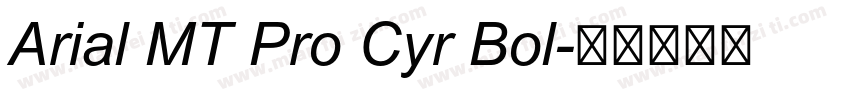 Arial MT Pro Cyr Bol字体转换